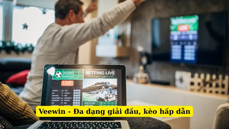 Veewin - Đa dạng giải đấu, kèo hấp dẫn